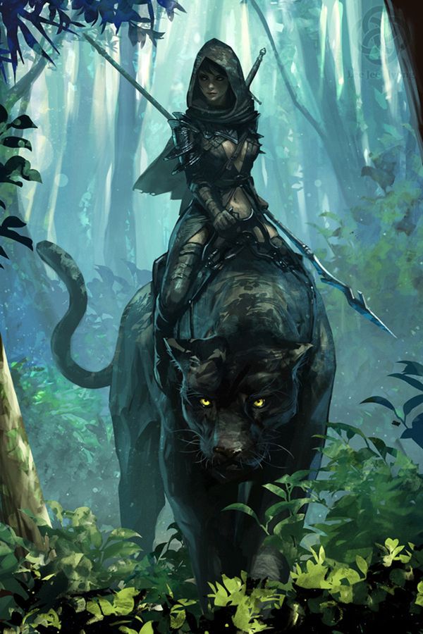 Ranger Archetype: Beast Master (rebuild)